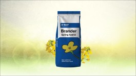 Brander®
