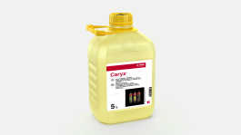 Caryx®