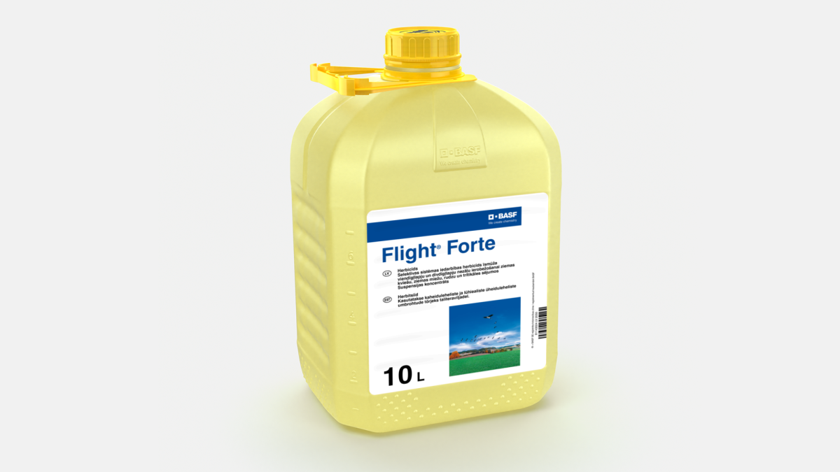 Flight® Forte - 58012944