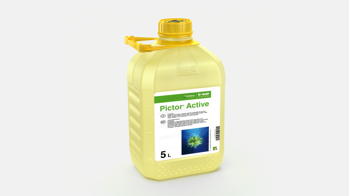 Pictor® Active - 58106537
