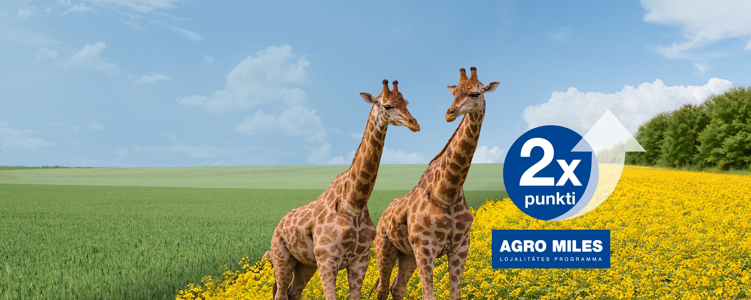 Ar REVYSOL<sup>&reg;</sup> lielāks ieguvums ražai!