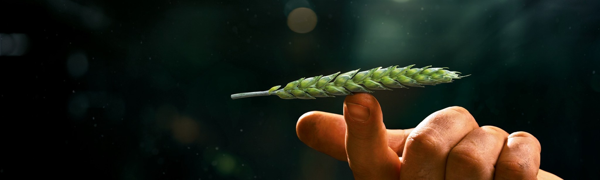 BASF ziemas semināri 2026