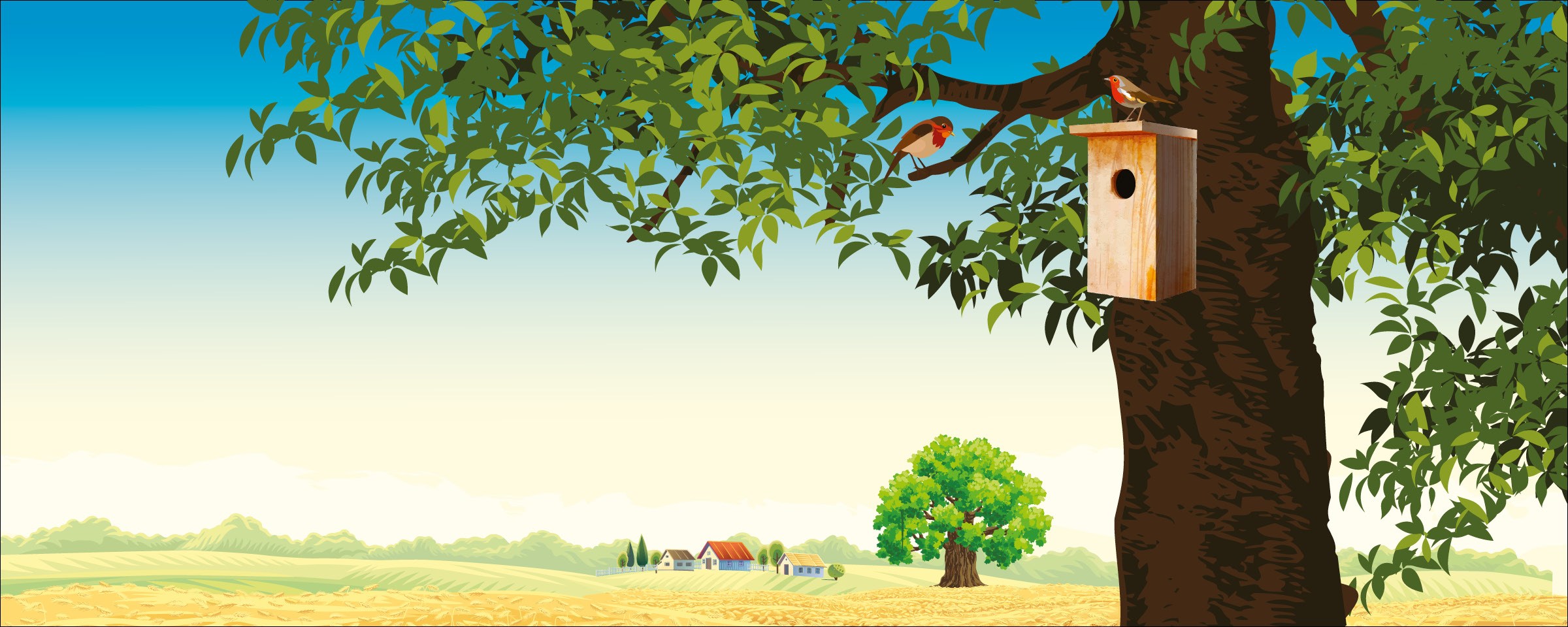 Stipri koki – Stipras saimniecības ilgtspējīgai lauksaimniecībai