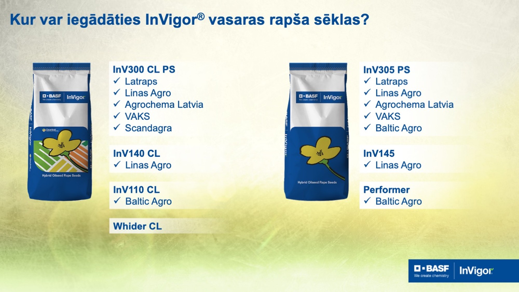 Kur iegādāties InVigor vasaras rapša sēklas