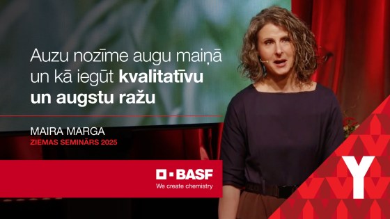 Auzu nozīme augu maiņā un kā iegūt kvalitatīvu un augstu ražu