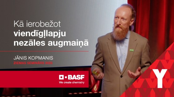 Kā ierobežot viendīgļlapju nezāles augmaiņā