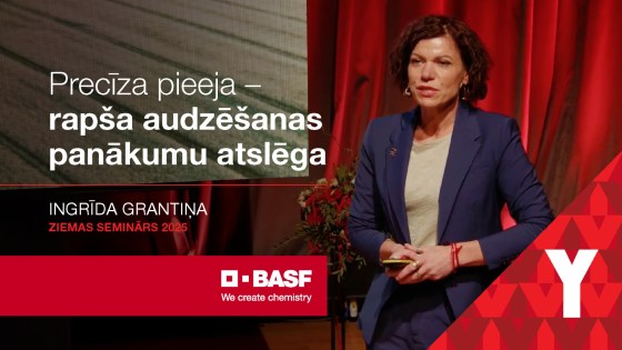 Precīza pieeja – rapša audzēšanas panākumu atslēga