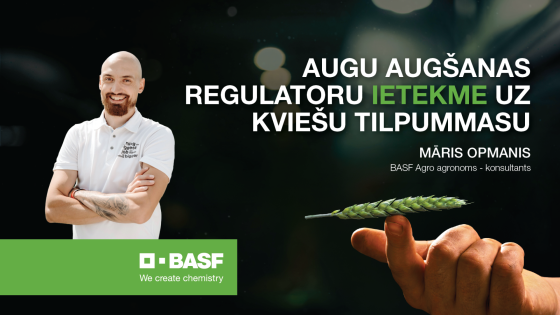 Augu augšanas regulatoru ietekme uz kviešu tilpummasu