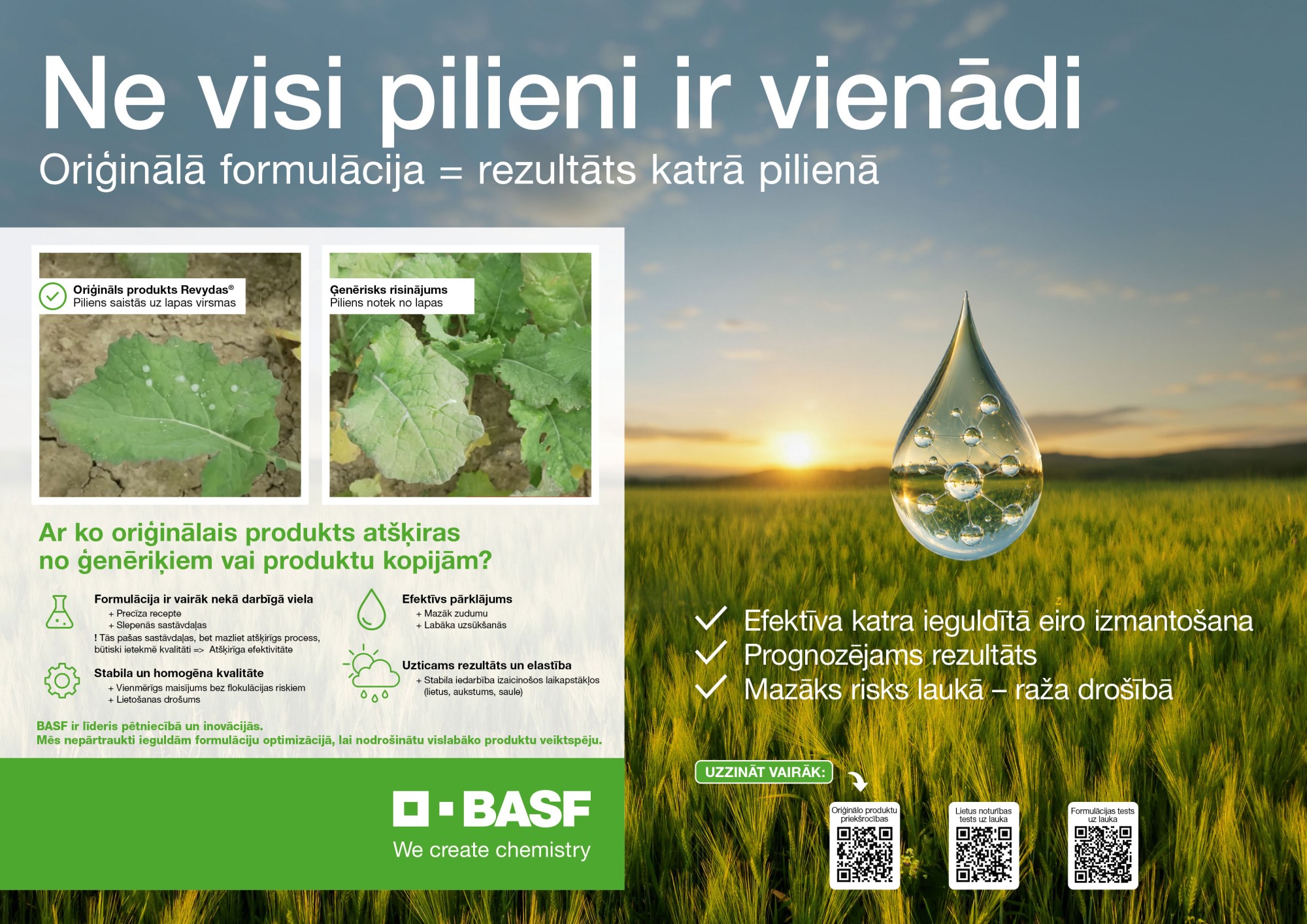 Ne visi pilieni ir vienādi: kāpēc izvēlēties oriģinālos BASF produktus?