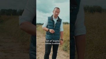 Rapšu eksperta padomi| hibrīds InV1310 - kā sēklas kvalitāte ietekmē rapša ražu?