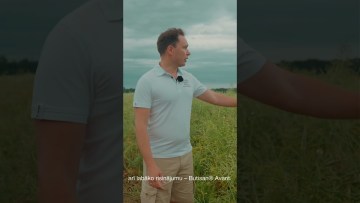Rapšu eksperta padomi| rudens herbicīdu stratēģija ziemas rapsim