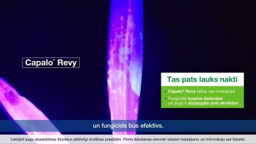 Lietus noturības tests uz lauka – kurš vinnē: oriģināls vai ģenērisko produktu maisījums?