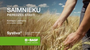 Saimnieka pieredze ar SYSTIVA miežos #3