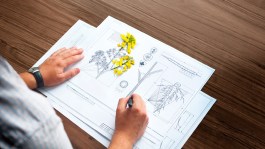 Jaunums – Architect®