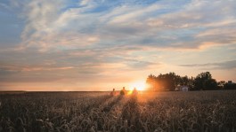 Jaunums – Revystar® XL