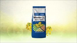 Whider CL