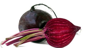 Galda bietes