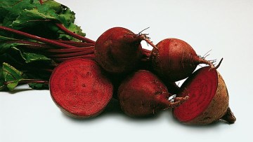 Lopbarības bietes